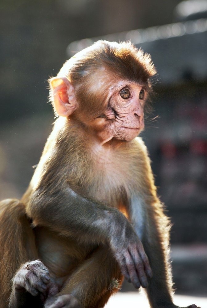 Фотография автора Сергей Макурин