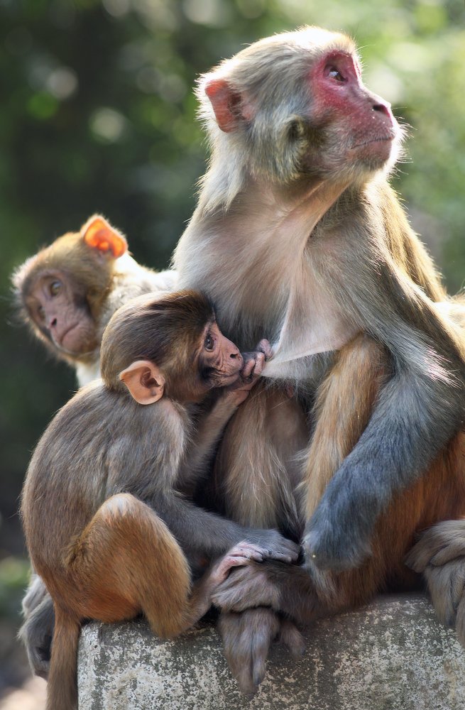 Фотография автора Сергей Макурин
