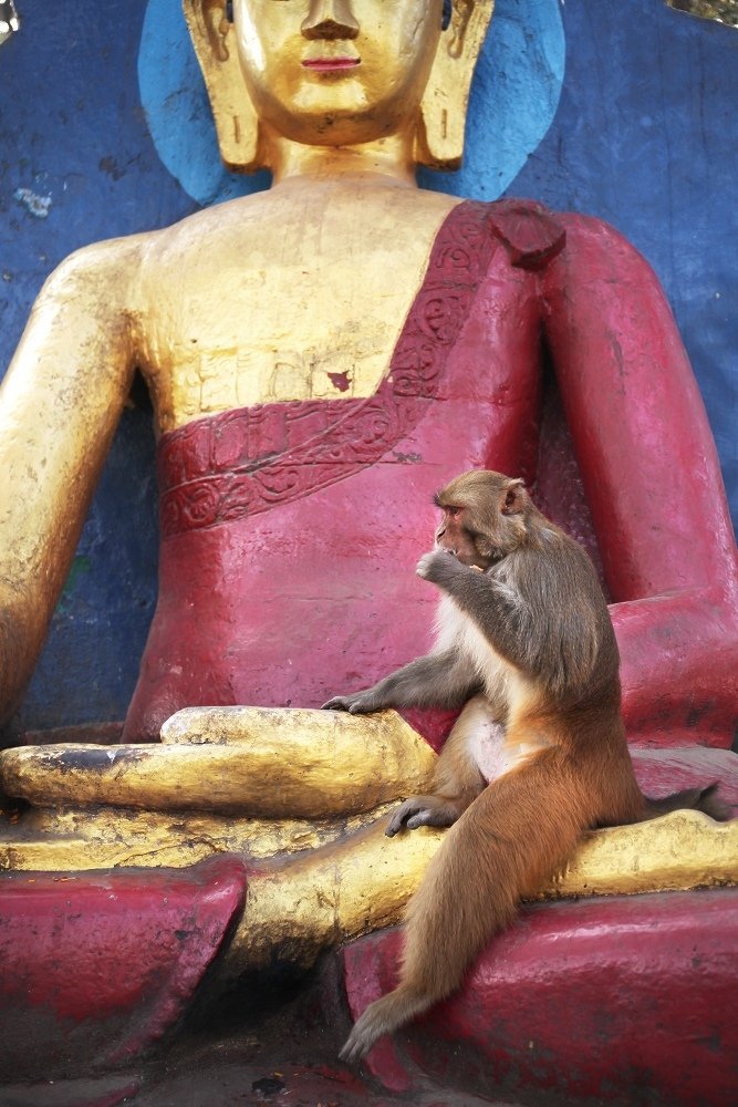 Фотография автора Сергей Макурин