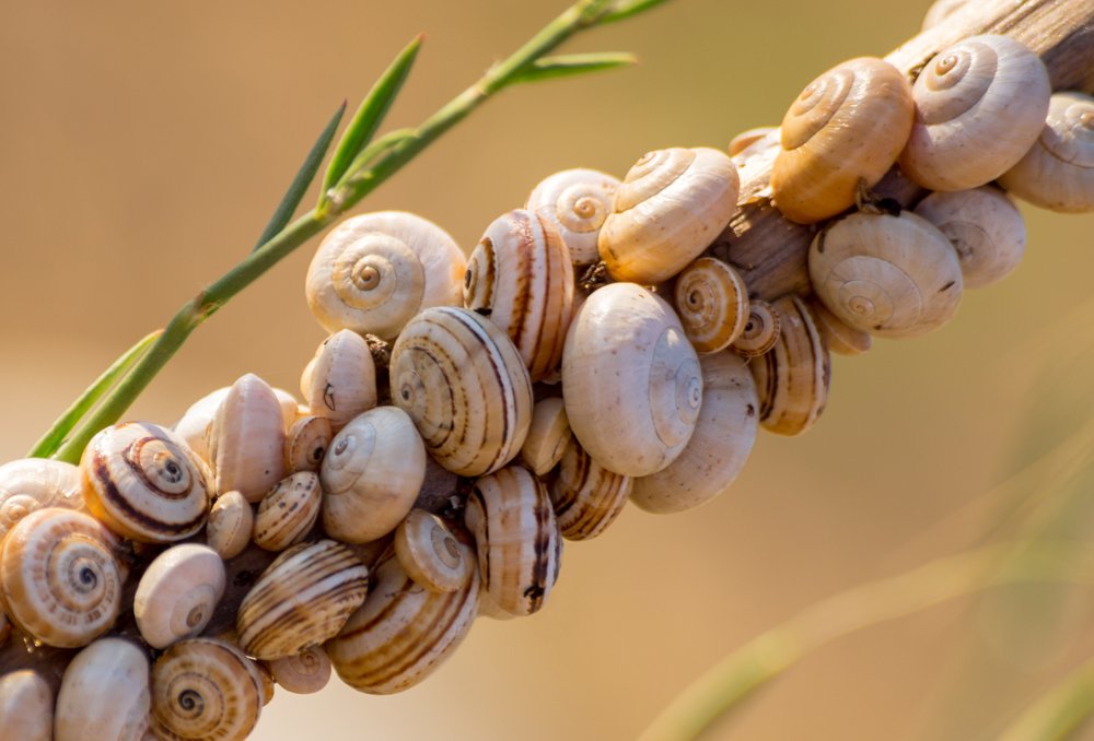 Photograph by Андрей Хаймин