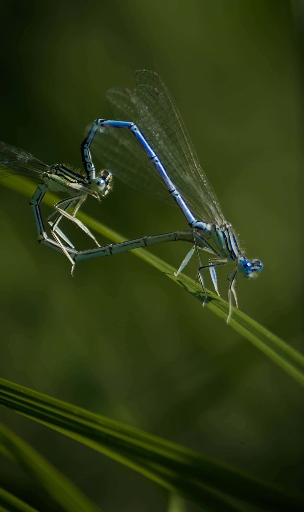 Photograph by Андрей Хаймин