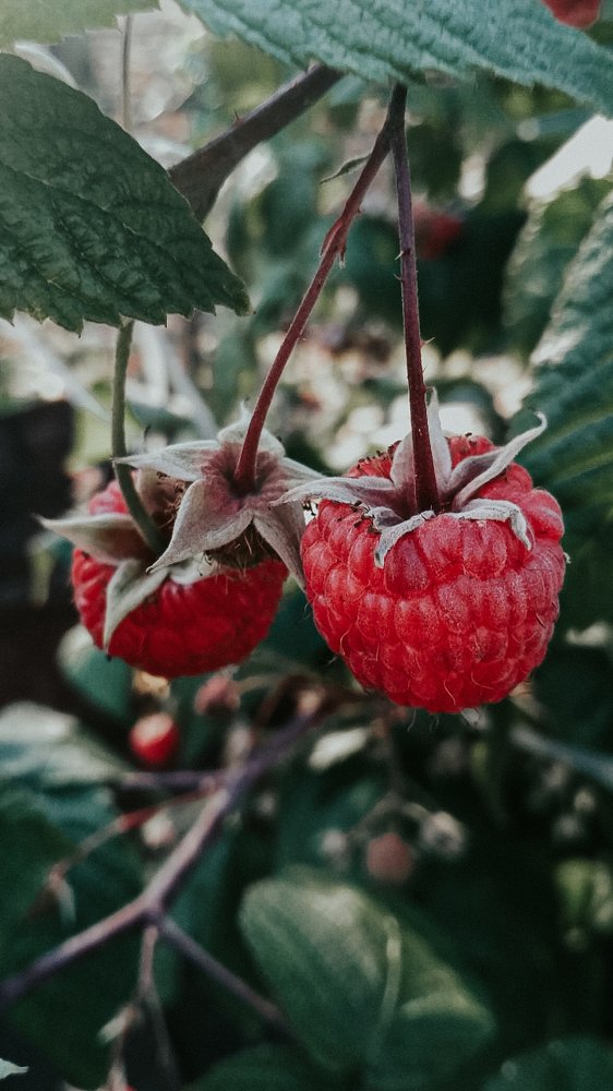 Photograph by Ирина Львова