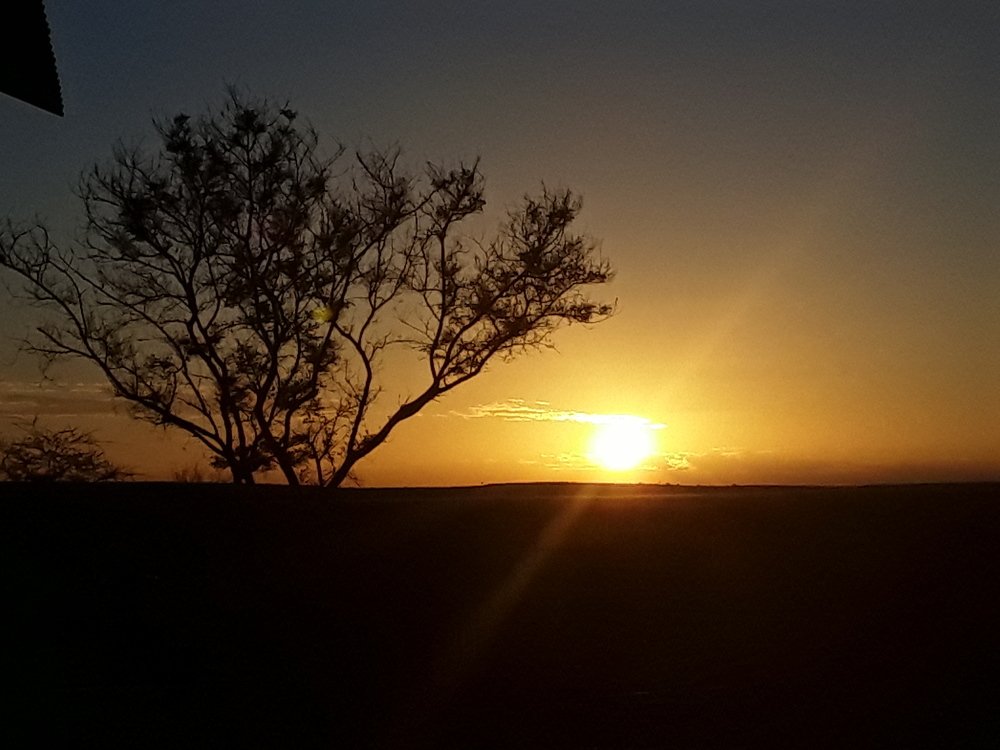 Photograph by Peter Boer