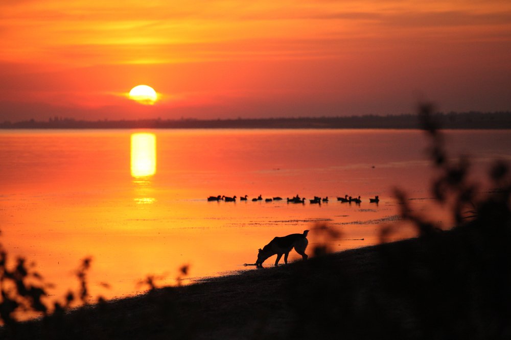 Photograph by Станкевич Анечка