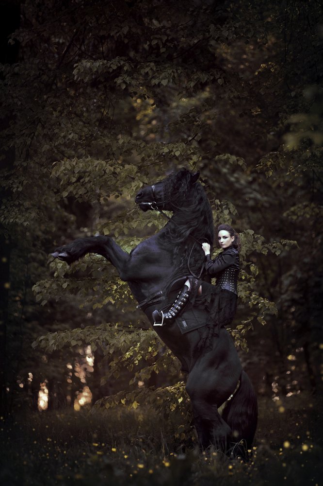 Photograph by Евгения Лис