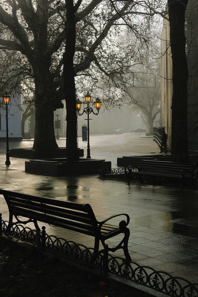 Одинокая алея