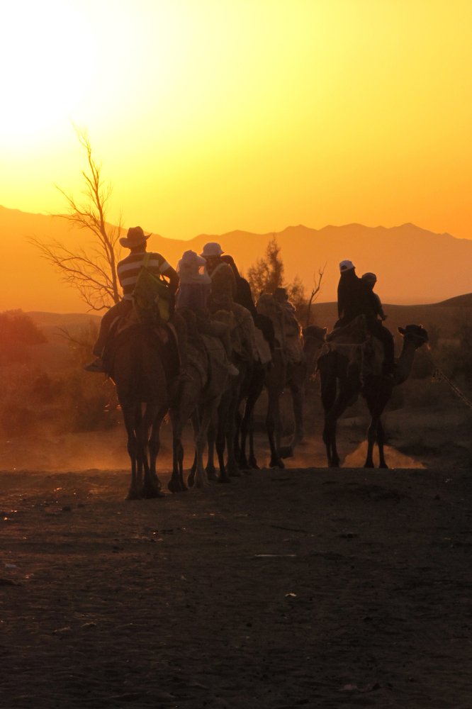 Desert