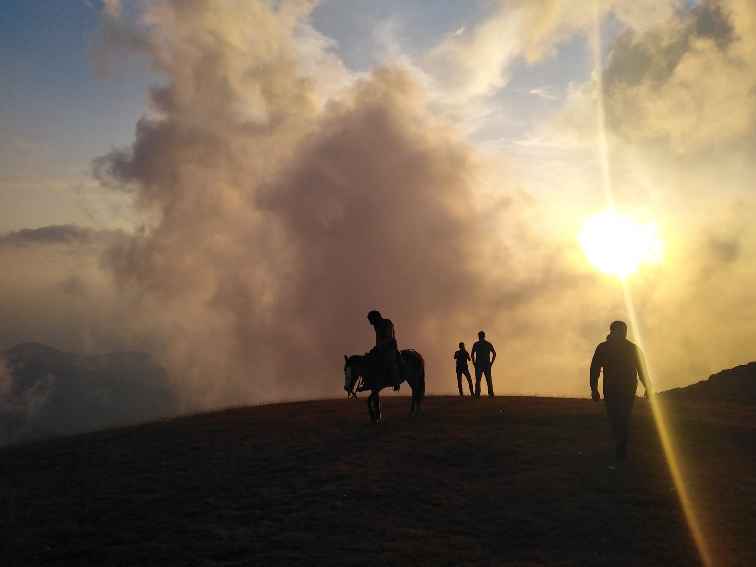 Photo #4066478