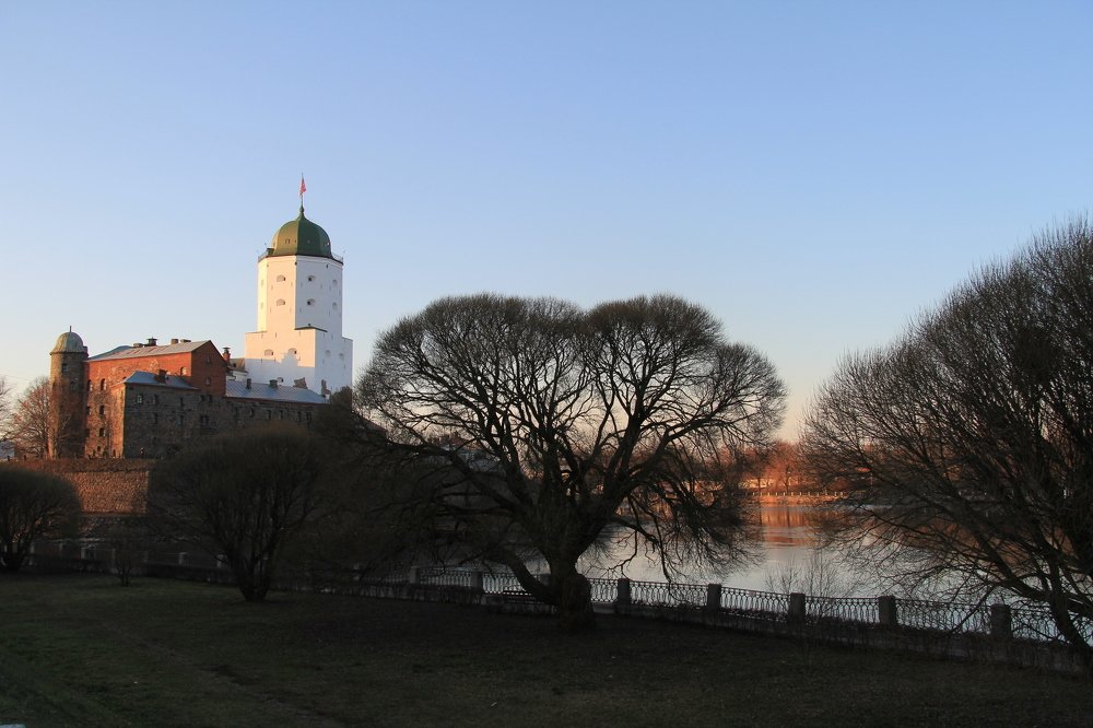 В закатных лучах ноября