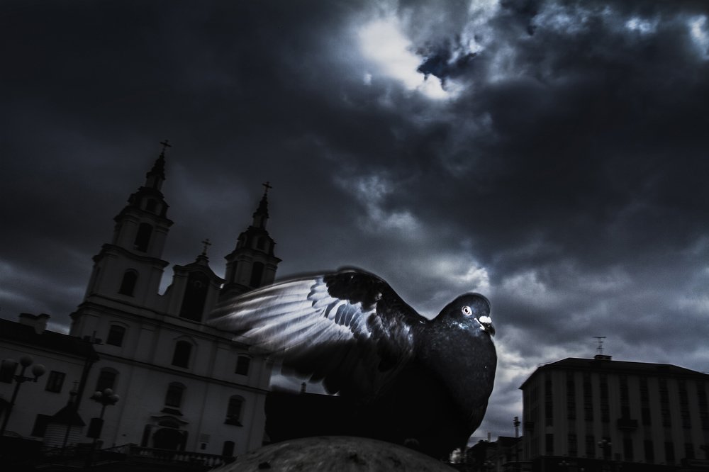 Photograph by Николай Алешкевич