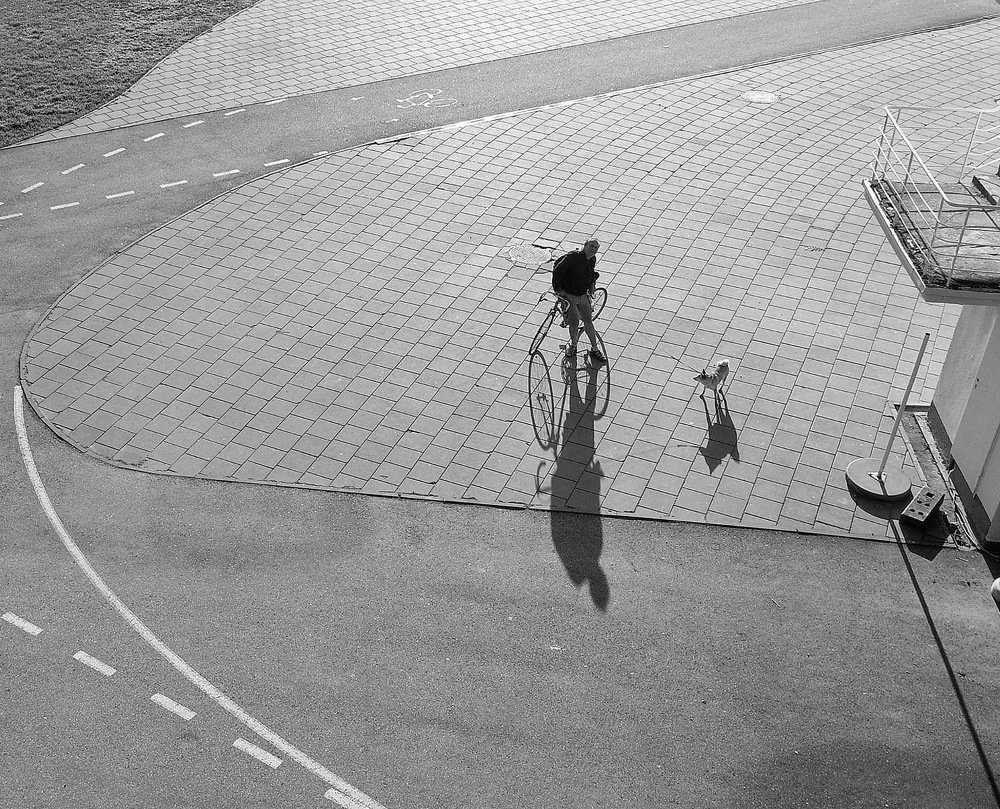 Photograph by Saulius Zaura