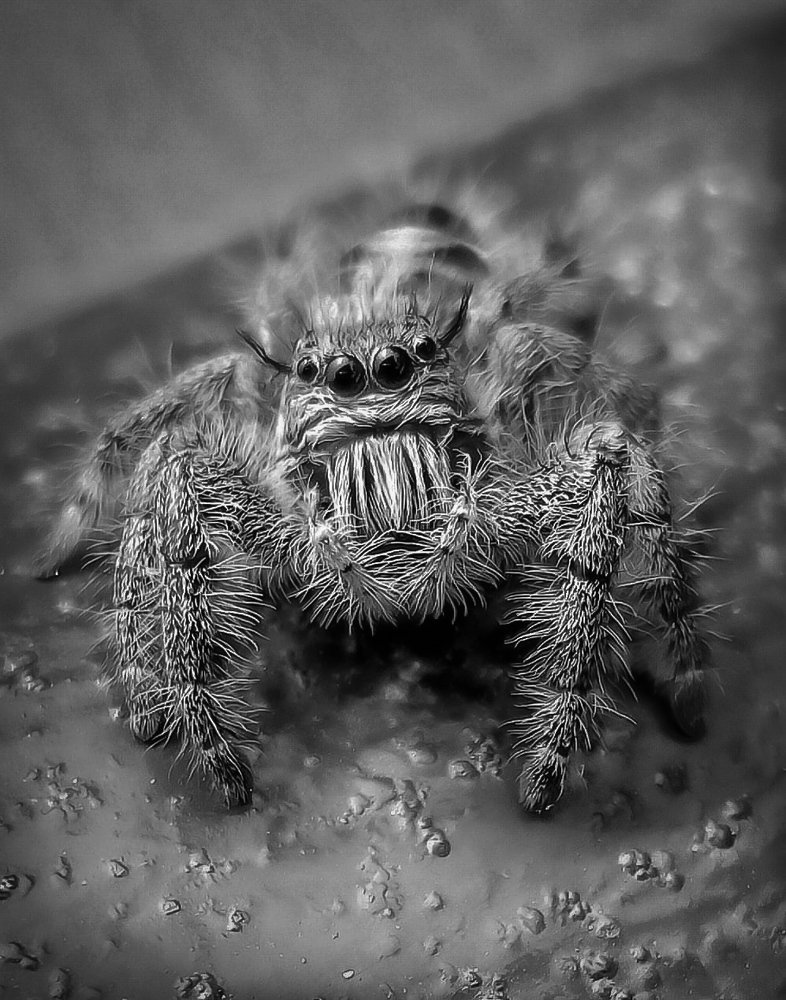 Photograph by Sushan Rai