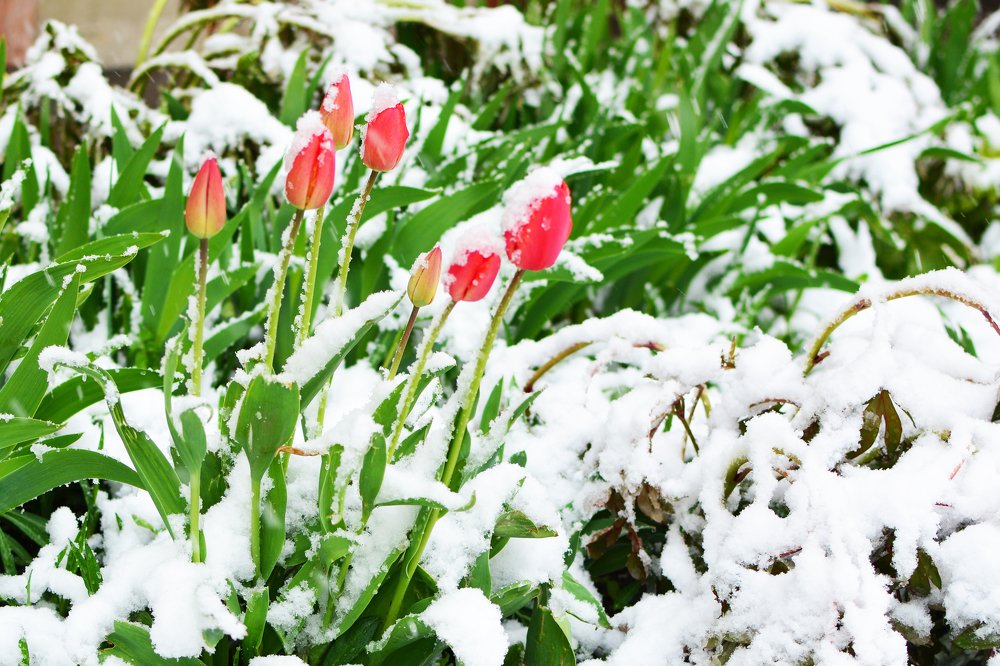 Photograph by Сергей Кривоносов