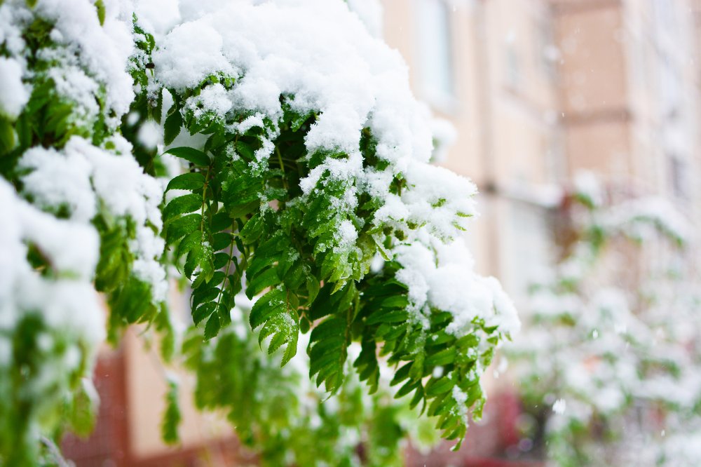 Photograph by Сергей Кривоносов