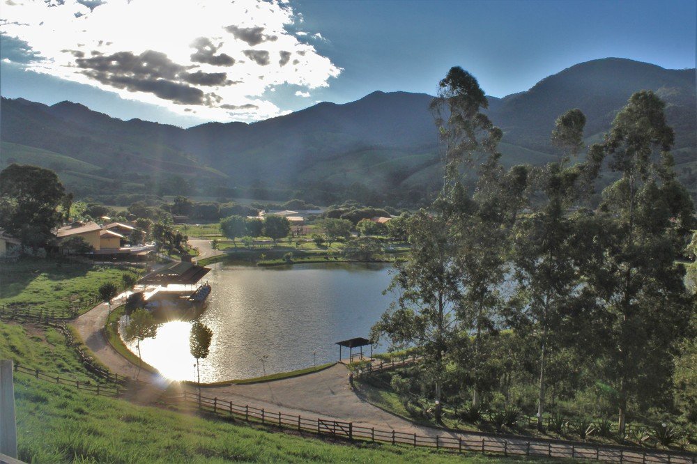 Фотография автора OSMIR ZANETTE