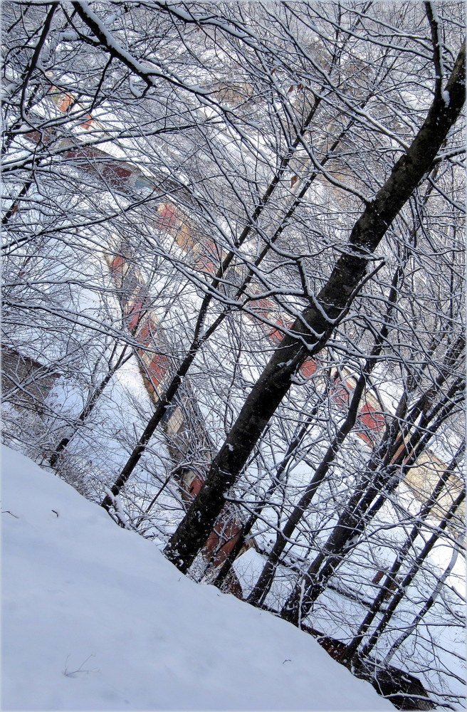 Photograph by Владимир Зотеев
