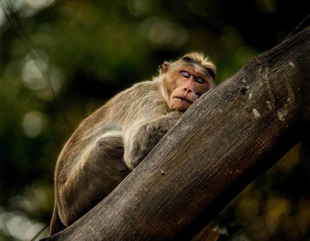 Calm amongst the Chaos!