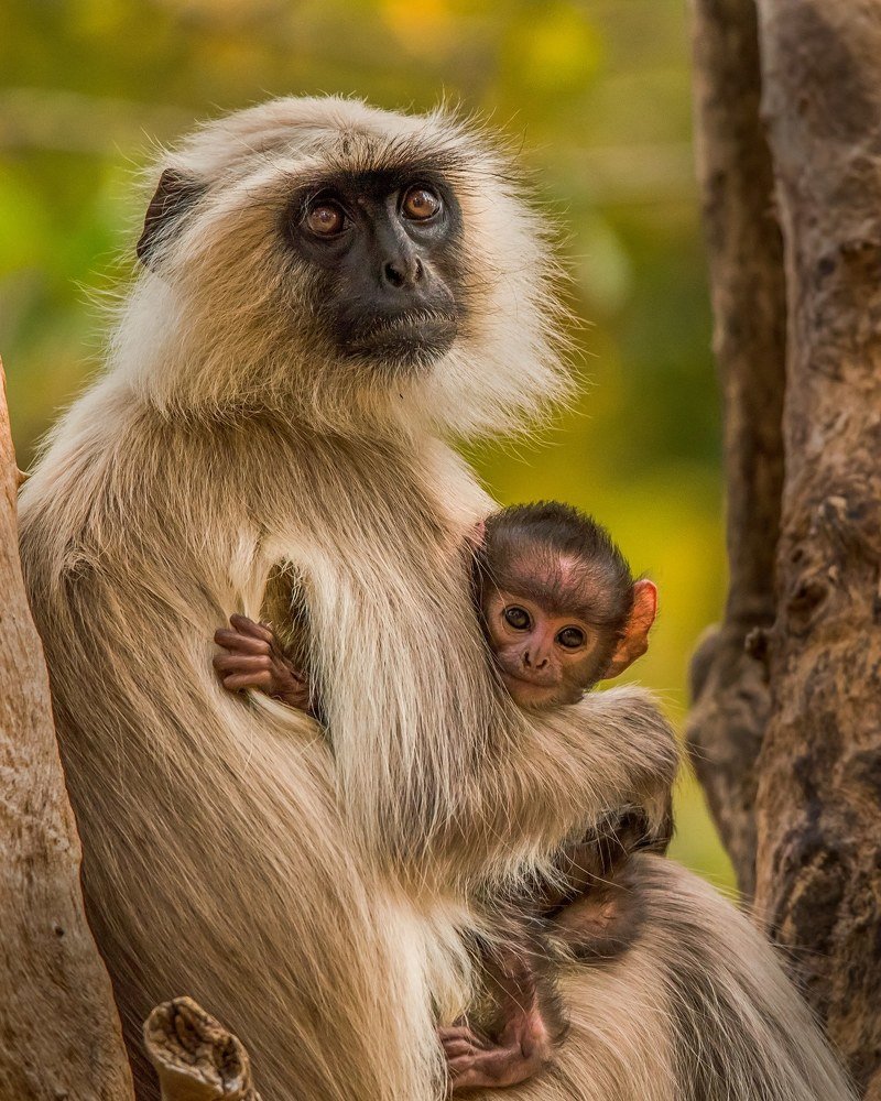 Eternal-Maternal Love!