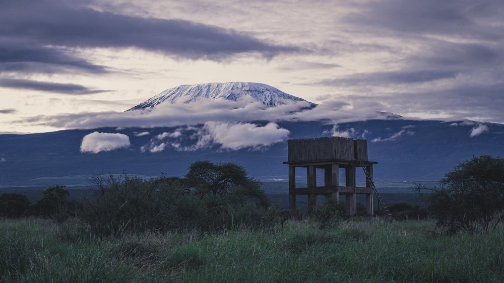 Килиманджаро на рассвете...