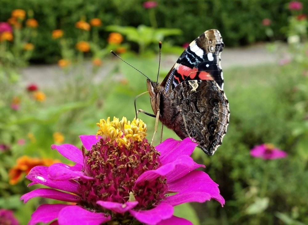 Я Вас внимательно слушаю...