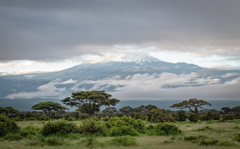 Мама Африка