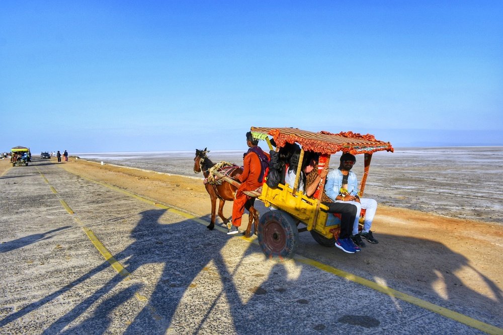 Creative Edge- Magnification