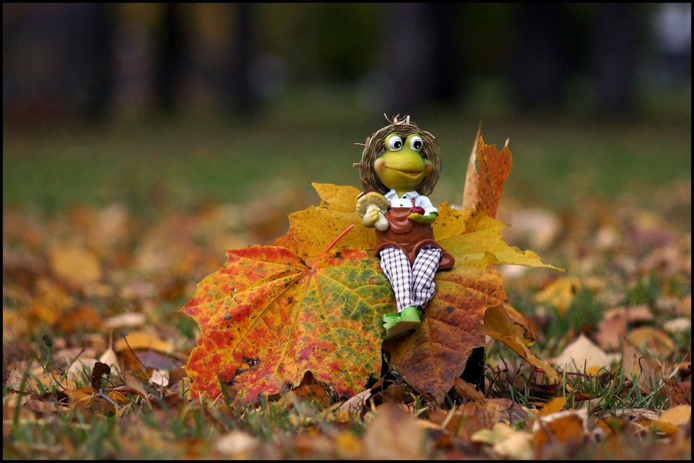 Photograph by Евгений Иванов