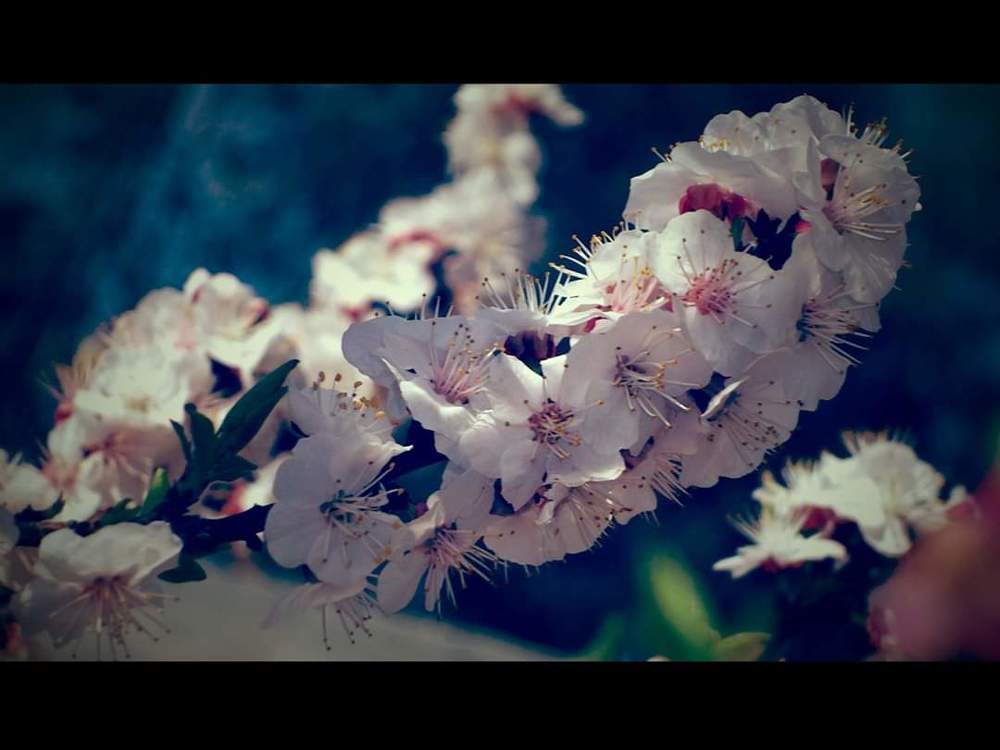 Photograph by Вассйм О.р