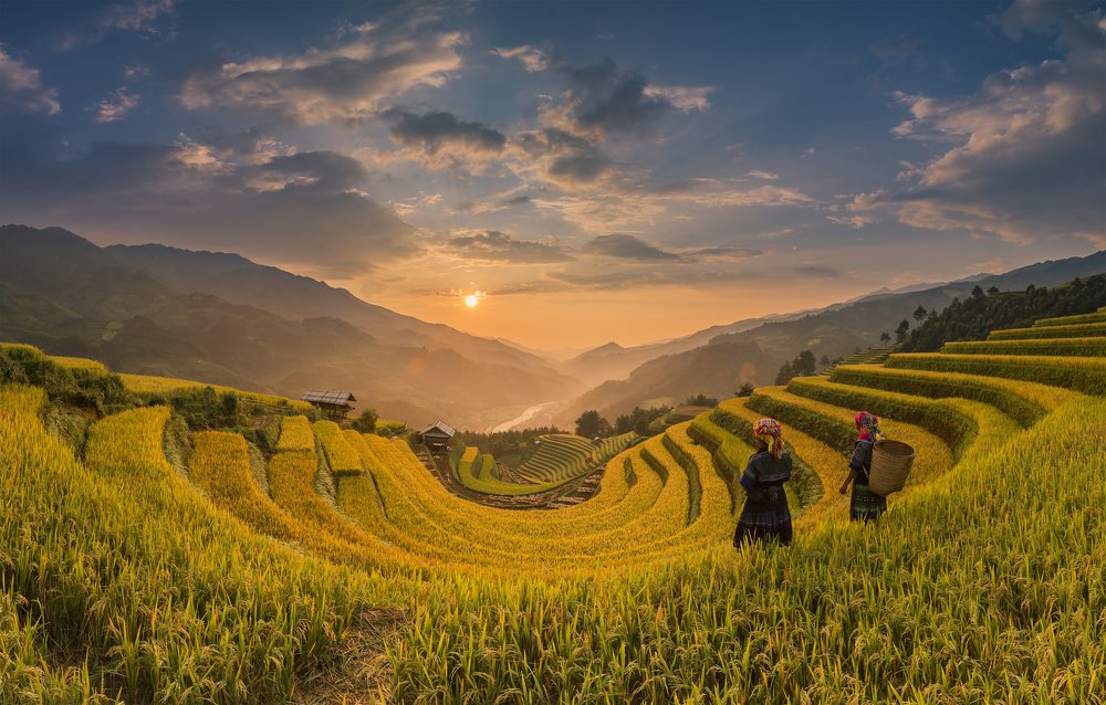 Photograph by Trieu Hung