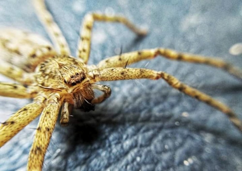 Photograph by Bryan Corbes Y Maico