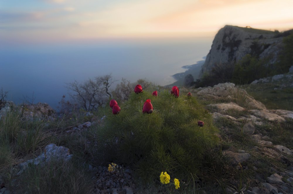 Photograph by Евгения Буш