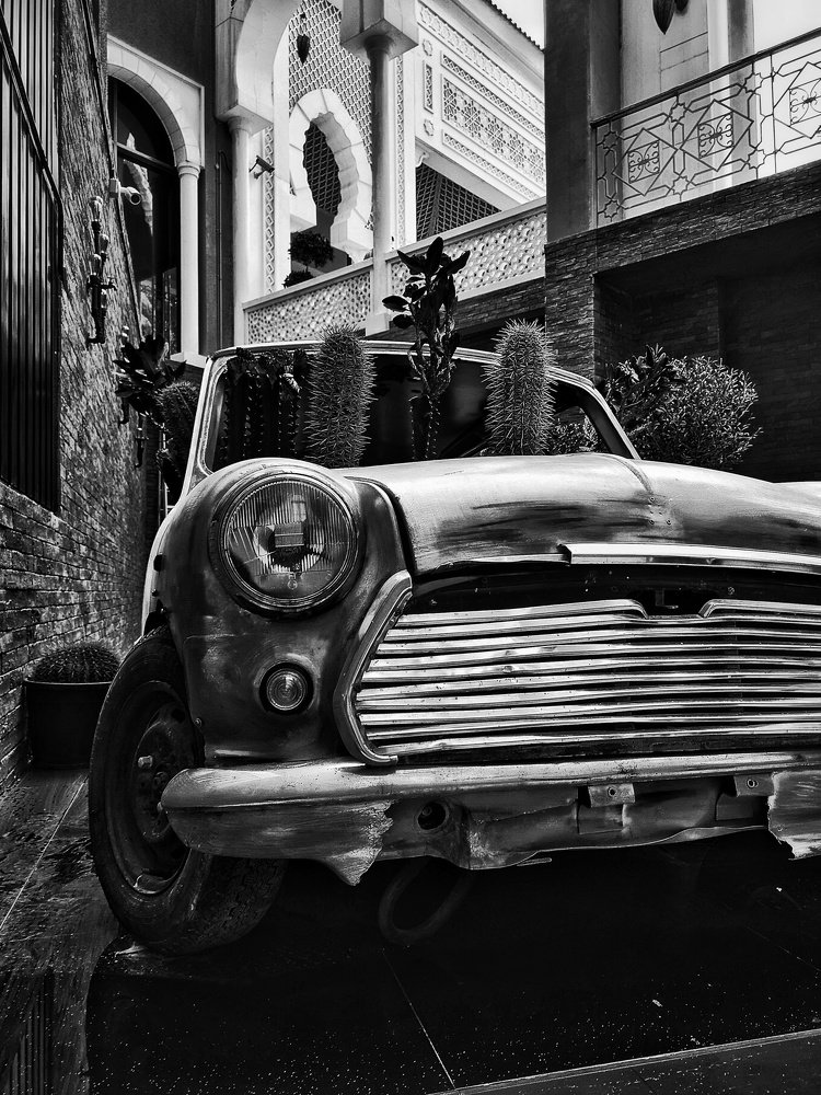 Фотография автора Екатерина Ковшова