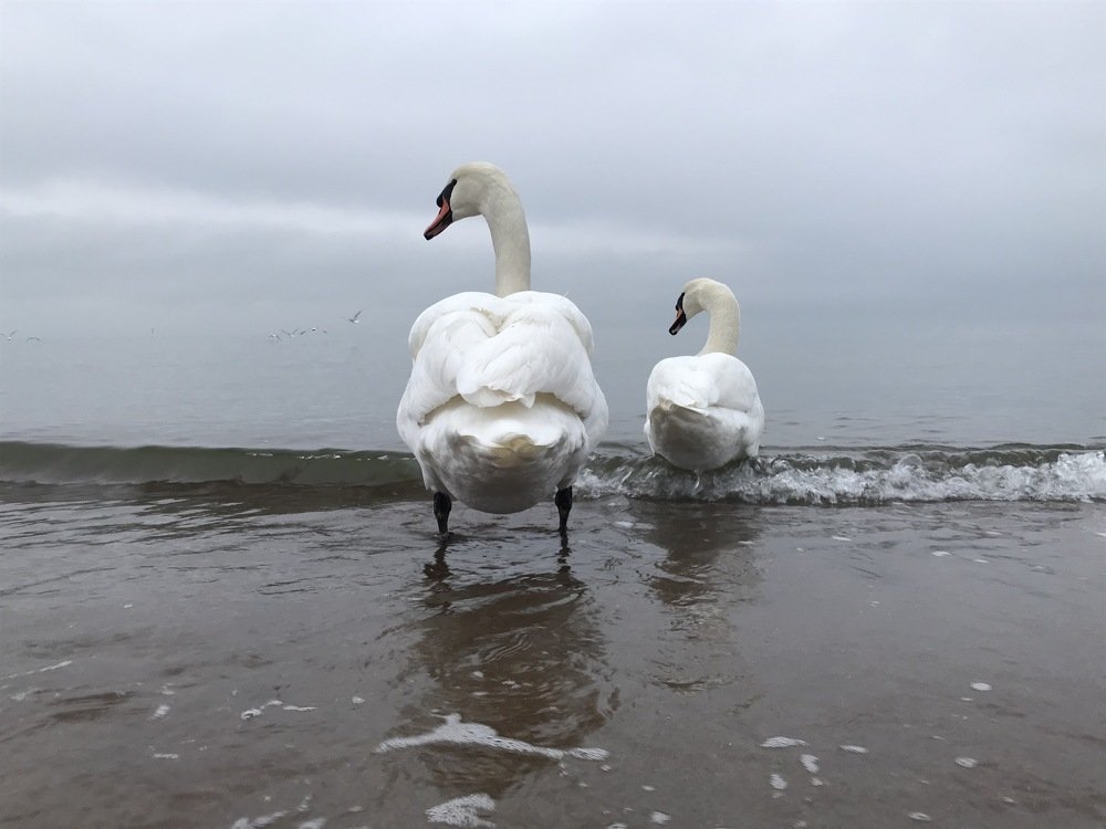 Photograph by Galina Baranovskaja