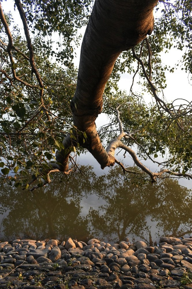 Point Of View _with reflection