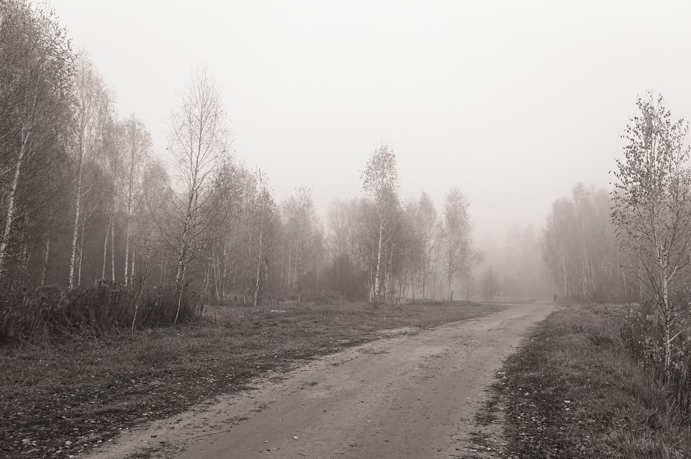 Photograph by Евгений Козлов