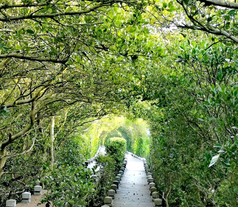 Photograph by Chunhou Poon