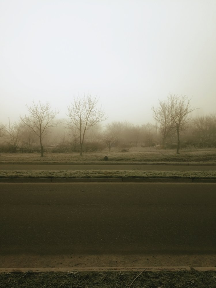 Photograph by westeros