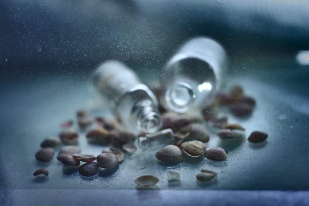 Photograph by Дарья Молчанова