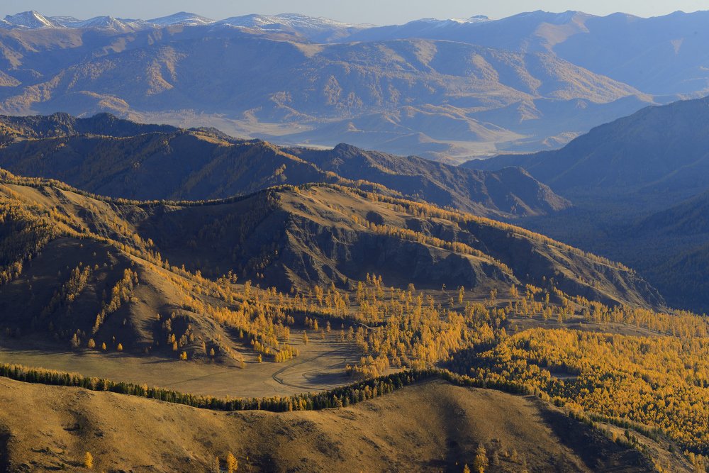 Осеннее утро