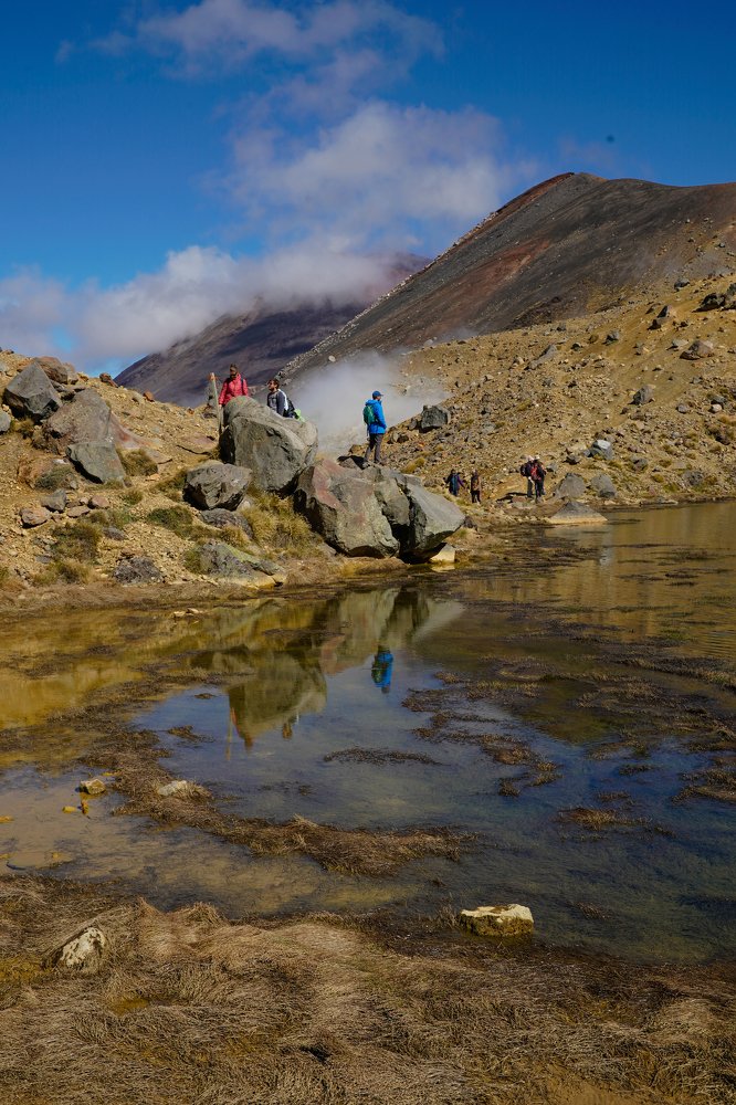 Фотография автора Maria Alekseeva
