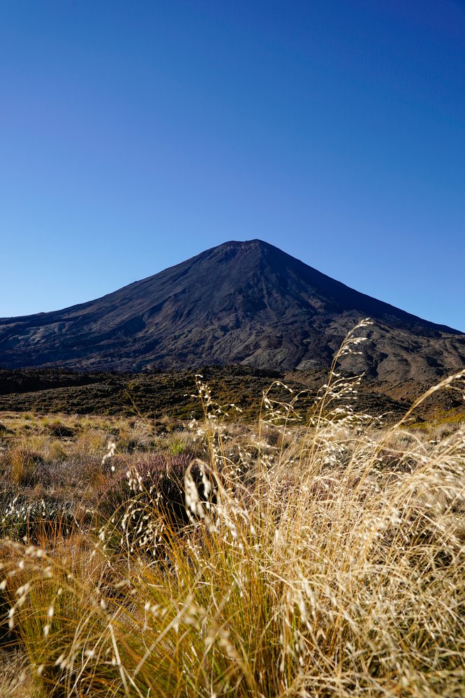 Фотография автора Maria Alekseeva