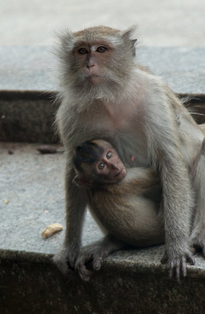 Photograph by Светлана