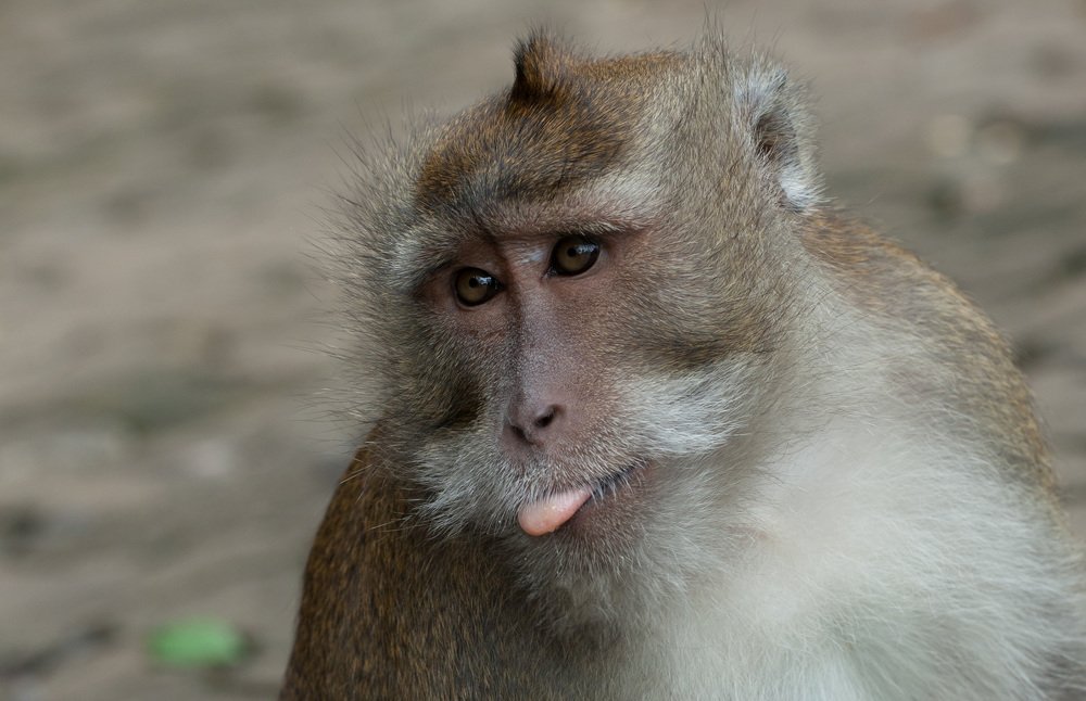 Photograph by Светлана