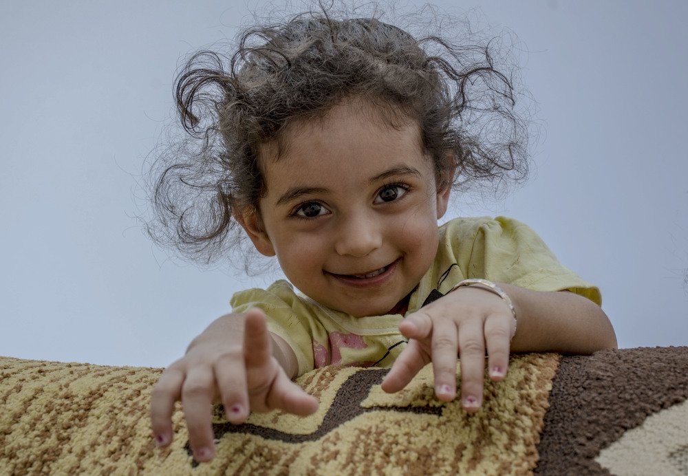 Фотография автора tayebe karimi