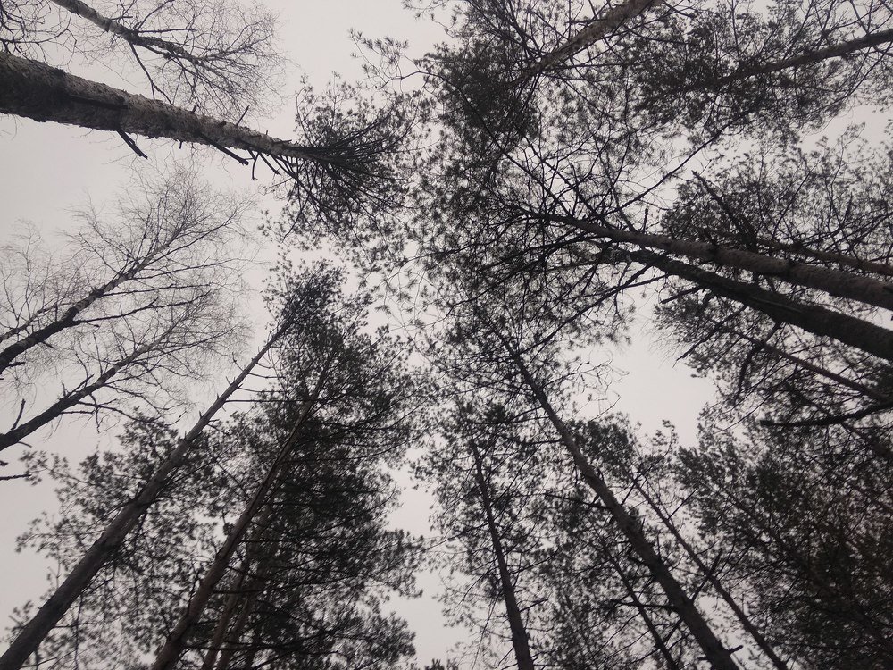 Photograph by Павел