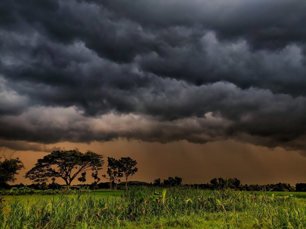 Photograph by Md Nayon Hossain