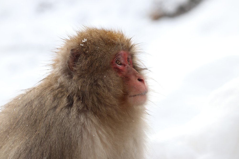 Photograph by Vishal Wadile