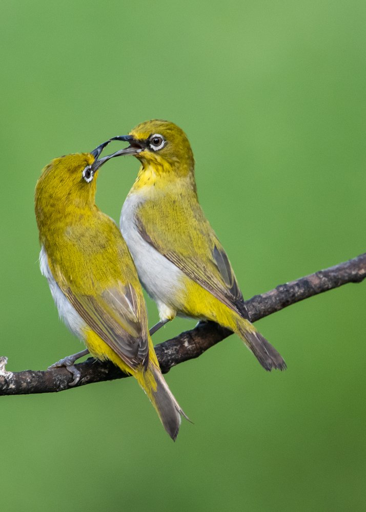 Let's touch our bills