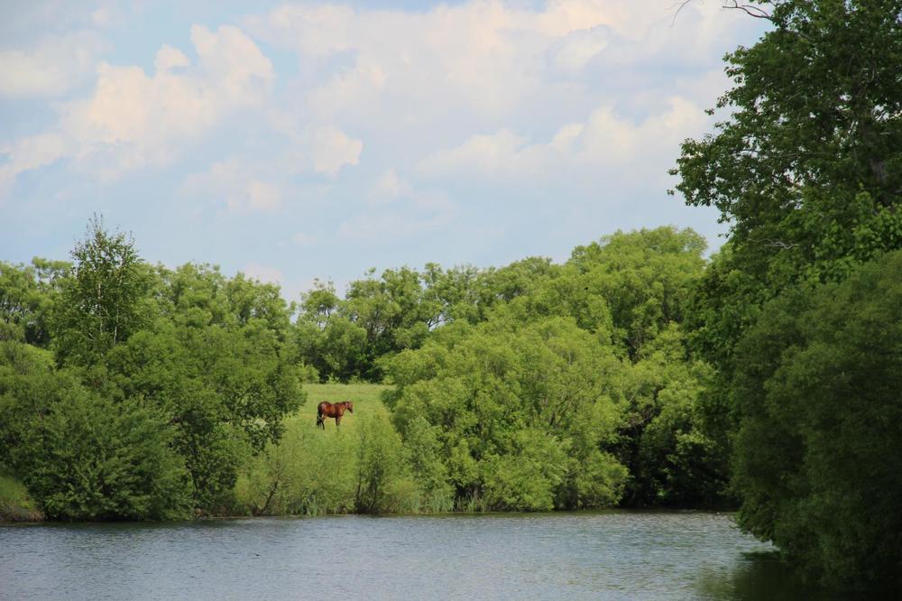 Photograph by Ирина Латынцева