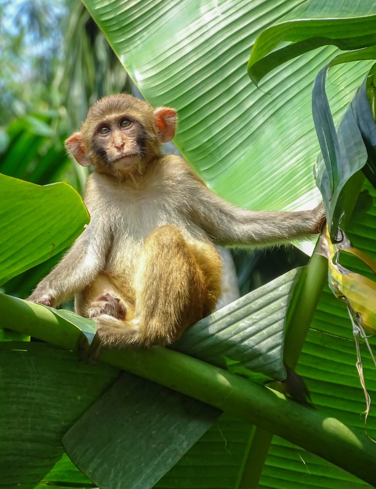 At my favorite place